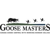 Goose Masters - Triad image 1